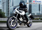 SV650 SV650